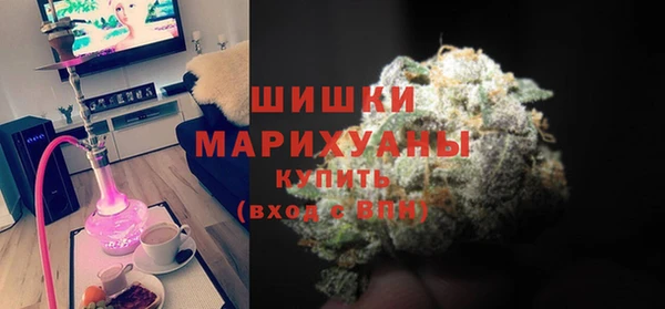 амф Ладушкин