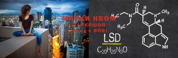 хмурый Видное