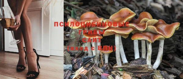 прущий лед Нягань