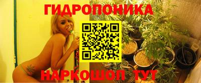 Альфа ПВП Бийск