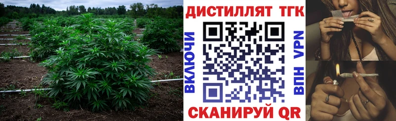 ТГК Wax  Котельники 