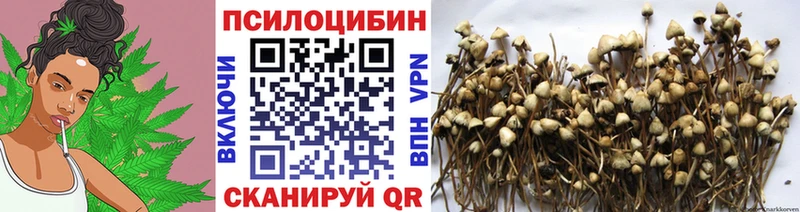 Псилоцибиновые грибы прущие грибы закладка Котельники