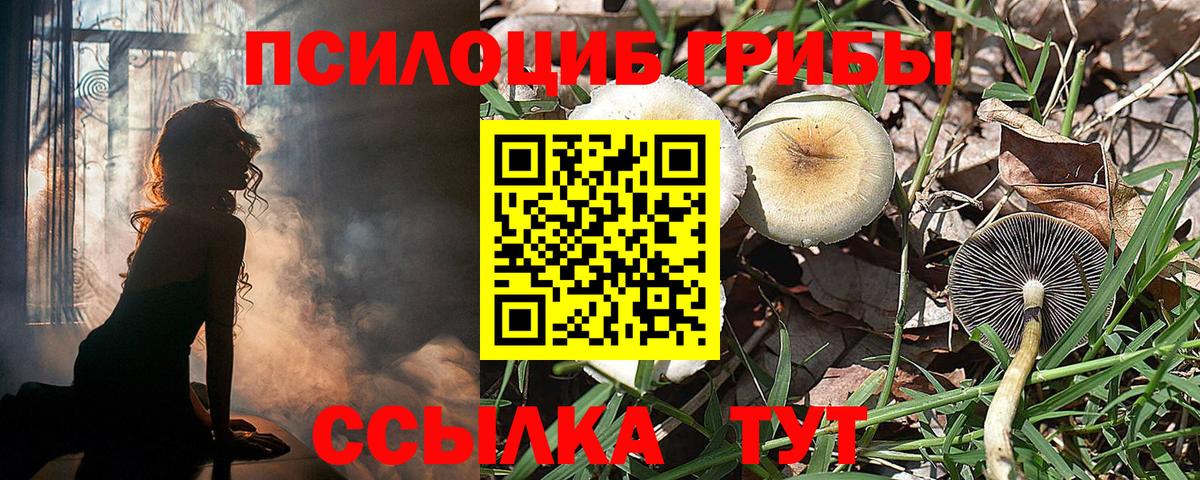 Галлюциногенные грибы GOLDEN TEACHER  Вход с VPN  дарнет шоп  Котельники 